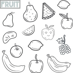 Fruit hand drawn doodle vector
