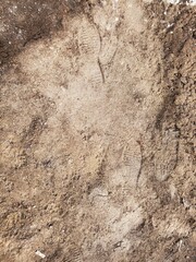 footprints on the ground