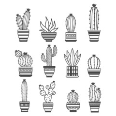 Set of potted house plants on a white background. Succulents in pots. Isolated potted plants. Cactus and other succulents on a white background. Collection of cactus plants.