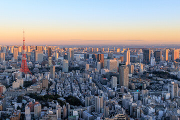東京タワーと東京のビル群の夕景