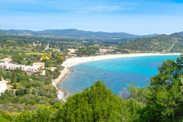 White beach and green plants in Sardinia