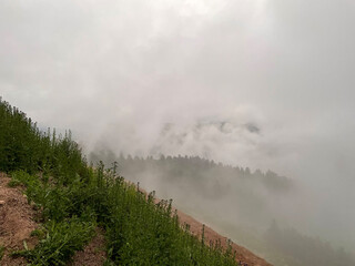 Fototapeta premium Schwarzwald Hochstrasse