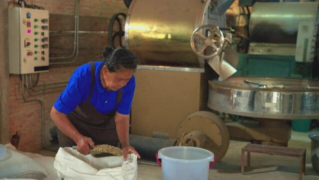 Senior woman scooping raw coffee beans filling up a bucket to weighing. Asian women 74 years old working in a factory. coffee roaster process, industrial, worker