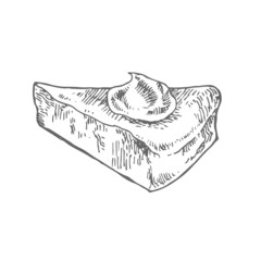 Hand drawn vector fresh baked italian pies