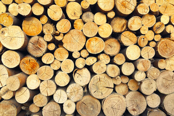 Fototapeta premium Environment and deforestation forest - felled trees, brown stacked sawn logs as wooden background