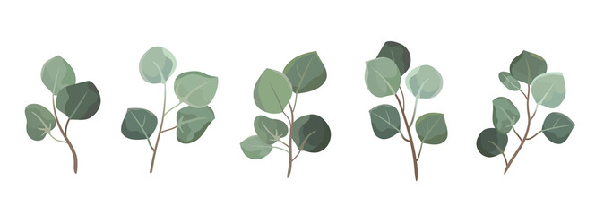 Vector designer elements set collection green eucalyptus leaves. Decorative beauty elegant illustration for design leaf in watercolor style.