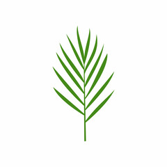 Palm frond logo design vector icon illustration