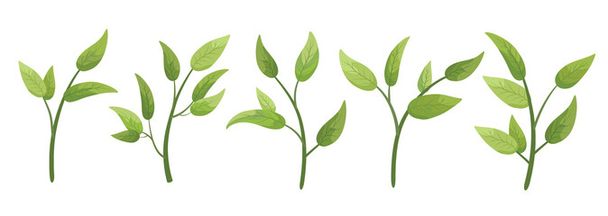 Vector designer elements set collection green branch with leaves. Decorative beauty elegant illustration for design leaf in watercolor style.