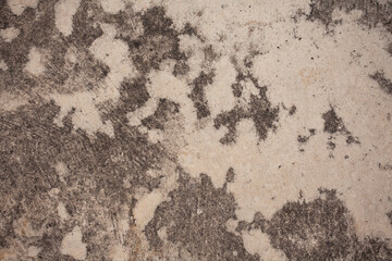 The cement wall background is getting old and dirty