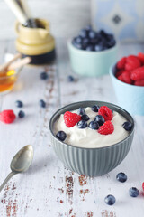 A bowl with Greek yogurt with berries
