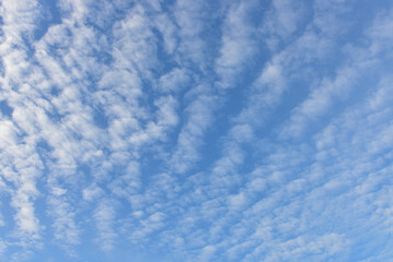 Blue sky and white clouds for background