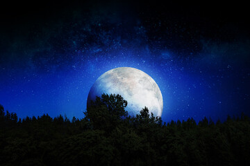 Silhouette Baum und Mond im blauen Raum. Erstaunliche Anzeige der blauen Farbe am Himmel. Hintergrundnachthimmel mit Sternen, Mond und Ösen. Das Bild des Mondes von unvergleichlicher Schönheit. 3D-Rendering.