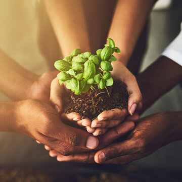 We All Need To Play Our Part In Nurturing Nature. Closeup Shot Of A Group Of Unrecognizable People Holding A Plant Growing Out Of Soil.