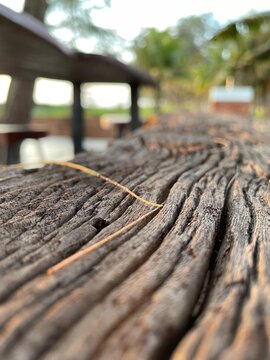 wooden bridge