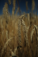 beauty of nature in ukraine