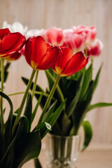 Bouquet with beautiful and fresh white, red and pink tulips on a light wooden background. Buds of white and pink tulips. Bouquets in a glass vase. One tulip bud close up