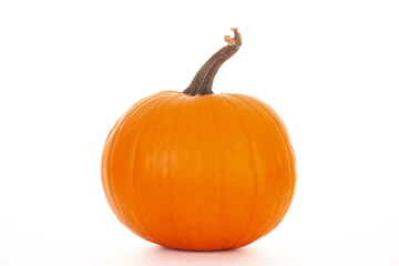 Big orange pumpkin uncut isolated on white