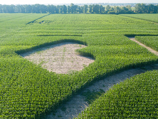Trident - coat of arms of Ukraine on a corn field. Inscription I love Ukraine. Aerial drone view.