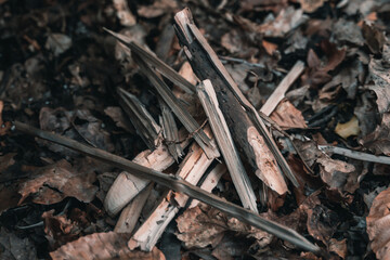 Bushcraft im Wald. Outdoor Kochen im Wald