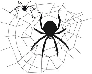 Spider in the center of the web - vector black and white illustration
