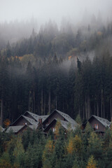 morning in the mountains