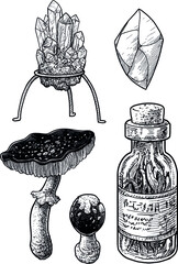 mineral, gem, mushroom and potion illustration, drawing, engraving, ink, line art, vector - 493811299