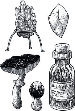mineral, gem, mushroom and potion illustration, drawing, engraving, ink, line art, vector