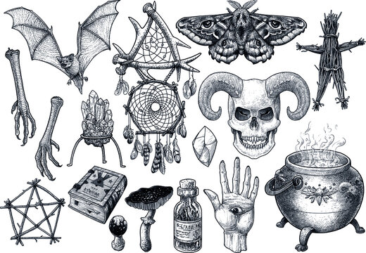 Witchraft items collection illustration, drawing, engraving, ink, line art, vector