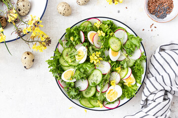 Salad of fresh vegetables and herbs. Appetizer with radish and cucumber