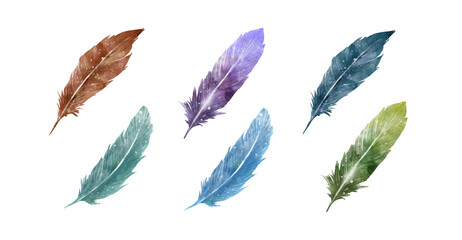 Set of Watercolor feathers isolated on white background for decoration, card, invitations. Hand drawn watercolor paintings vibrant feather vector illustration