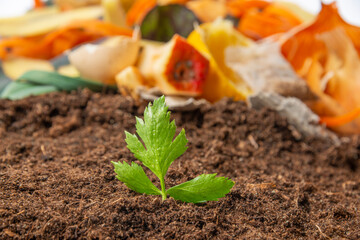 organic compost - biodegradable kitchen waste and soil