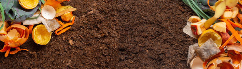 organic compost - biodegradable kitchen waste and soil - 493813676
