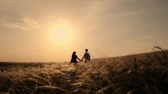 Silhouette of couple in golden field and beautiful sunset. Young and romantic family enjoying. Man hold woman in arms with love on summer evening. People talking and hugging by heart. Two person.
