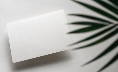 blank white invitation template, rectangle, art canvas texture, soft shadows, decorative plant, white background, canvas texture, photo taken from above