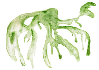 Obraz premium Green abstract watercolor isolated blot. Template for decorating designs and illustrations. 