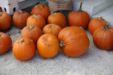 a stack of pumpkins 