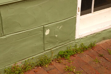 Old Building, Peeling, Weeds Poke Through Brick Sidewalk