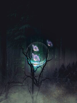 The Night Light