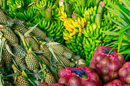 Pineapple background, lots of ripe yellow pineapples at market asia fruit food pineaple. Sri Lanka. 