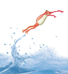 Obraz premium grenouille, saut, attitude , France , rouge, , eau, batracien, clapoter, liquide, abattre, abstrait, drôle, bouillonner, vague, éclaboussure, propre, blanc, isolé, transparent, boire, clair, nature, f