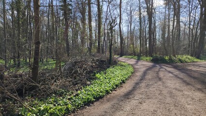 Grötzingen Baggersee