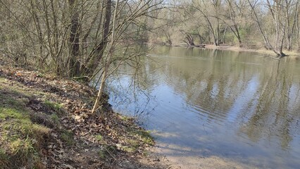 Oberwald Karlsruhe See
