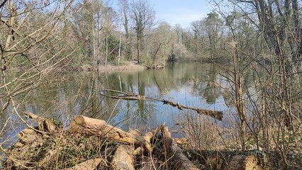 Oberwald Karlsruhe See