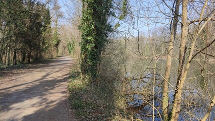 Oberwald Karlsruhe See