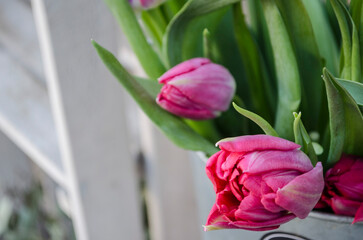 Pink tulips on a light blurred background on a background of cityscape.