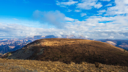 Obraz premium Autumn mountain with dry grass and green coniferous trees against the backdrop of the Caucasian mountain valley under a blue sky with low floating clouds