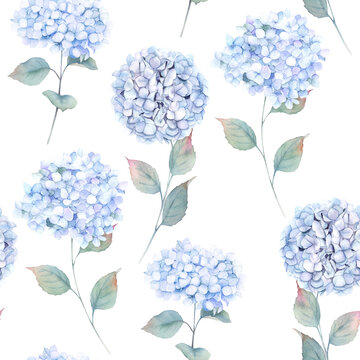 Watercolor seamless pattern witn eucalyptus and  hortensia, hydrangea. Hand drawn illustration. Floral background