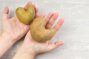 Ugly heart-shaped potato in hands on a gray concrete background. The concept of vegetables or food...