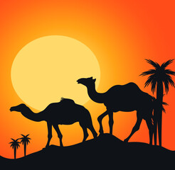 Fototapeta na wymiar silhouette of camel in desert, Camels Silhouette Vector Illustration