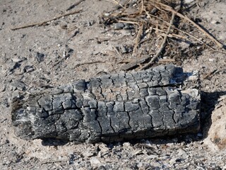 Verkohltes Holz im Sonnenlicht